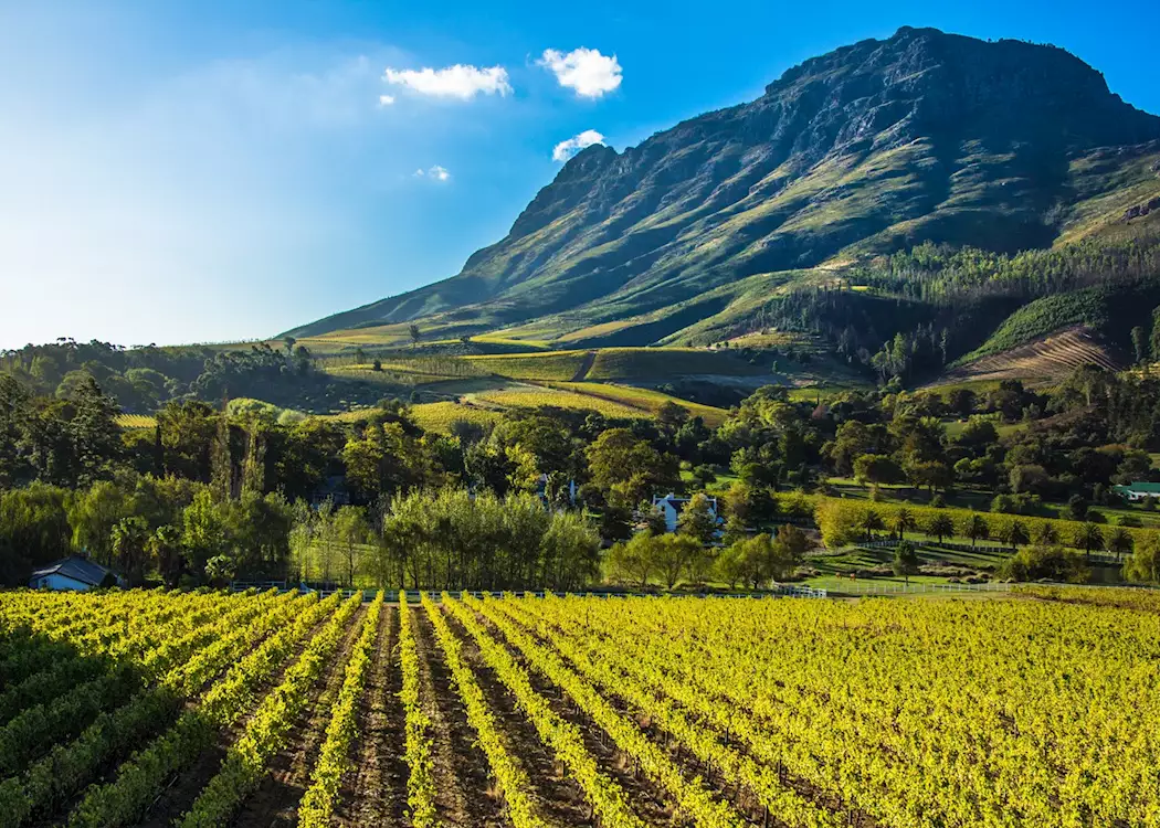 1340295-stellenbosch-south-africa