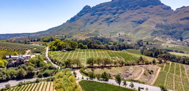 Stellenbosch
