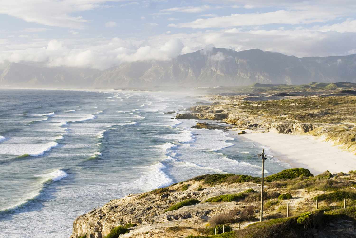south-africa–gansbaai–walker-bay-nature–reserve-79570218-07a23700946e488e93037bb64629bbda